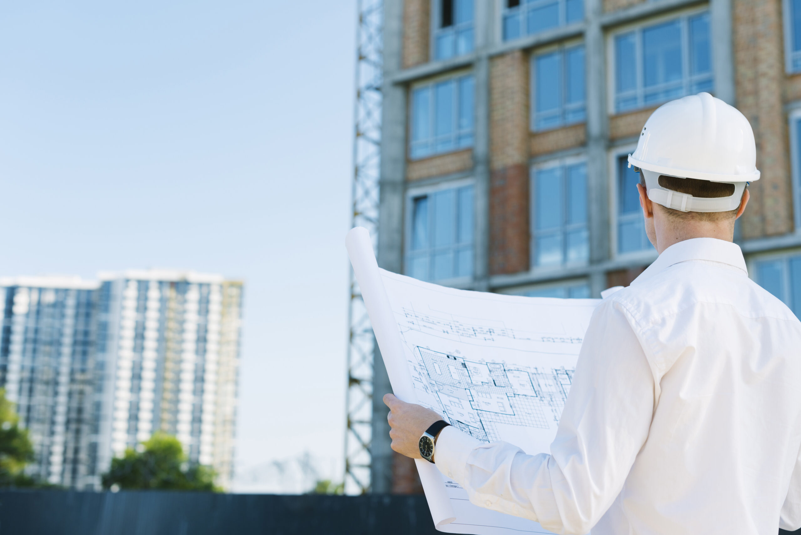 back-view-man-holding-building-plans